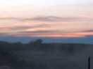 Morning sunrise fisherleigh barton campsite 29/06/2023