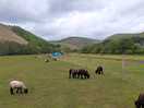 Site