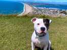 Isle of portland