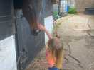 Stables walking distance