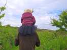 Exploring the walks