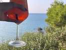 Relax