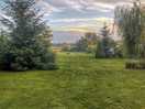 The field