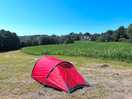 Tent where we pitched, next to maize.