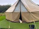 Huge tent inside and it withstood torrential rain one one night