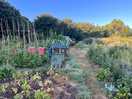 Nearby allotments