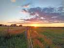 Sunset in june