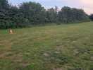 Awful field.