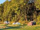 Tent pitches