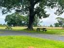 Views over the cow field and picnic benches.