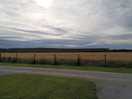 Amazing views all around the campsite. situated in the middle of working farmers fields.