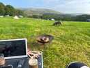 Great view, dog friendly and peaceful