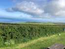 View by day
