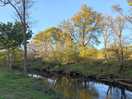 Lovely river running through