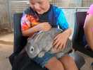 My son with one of the rabbits