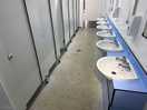 Field a toilets