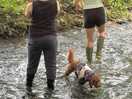 On site walk to the little stream where our children loved splashing around