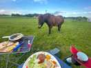 Eating out with the horses