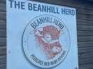 Beanhill