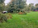 Woodland around the pods