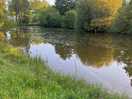 Trees and fishing lake