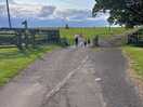 Walk to the kirkharle courtyard and the running fox
