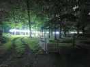 Woodland wak lit up at night