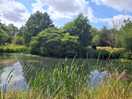 Beautiful lake metres from camping area