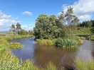 Lovely lakes - this one had beautiful lily pads!