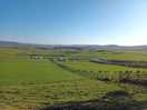 View from the top of the hill on the site.