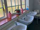Clean sinks