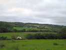 View from dog walking field