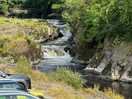 Cenarth falls