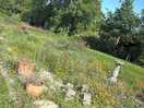 Flower beds