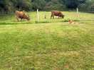 Just chilling with the neighbours