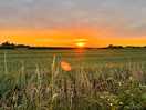 Sunset over the fields next to us