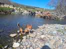 Stream on site