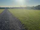 Sunshine