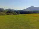 View from my pitch