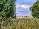 Scenery