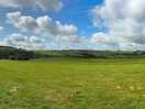 The view