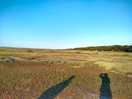 Walking on the footpath by the marshes late into the evening. superb.
