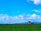 Campsite