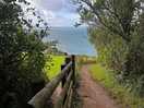 Walk to the top of the site from the south west coastal path