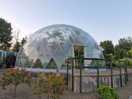 Tropicaldome