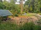 Fire pit and lodge.