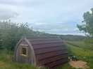 The pod