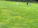 Field