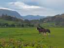 View after a short walk toward cockermouth