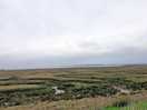 Towards the estuary